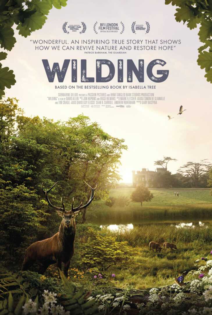 WILDING 1SHEET V3 LR(1)